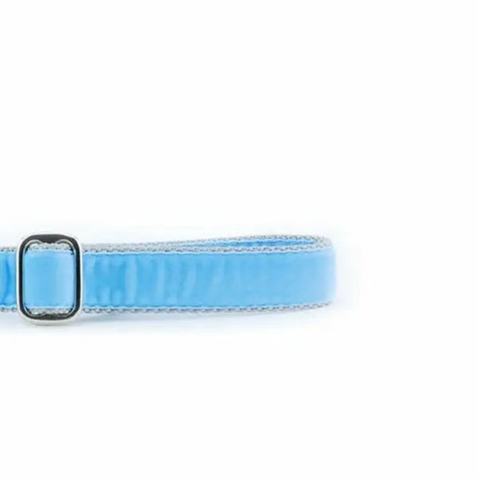 Light Blue Velvet Dog Leash 2 Hounds Design