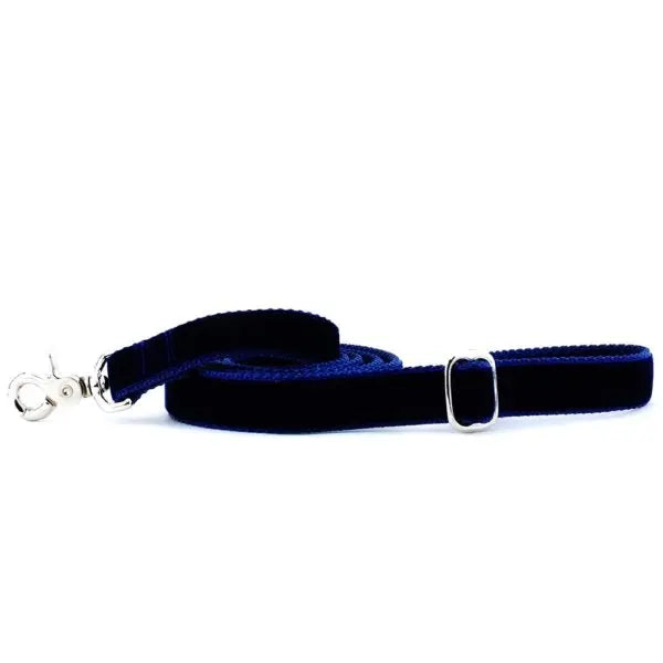 Navy Velvet Dog Leash 2 Hounds Design