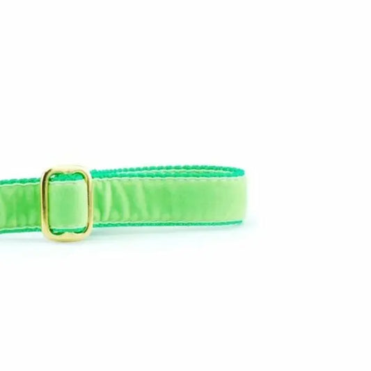 Lime Green Velvet Dog Leash 2 Hounds Design