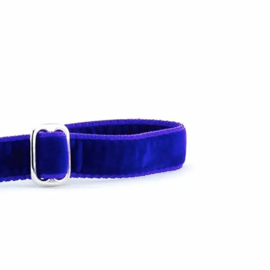 Purple Velvet Dog Leash 2 Hounds Design