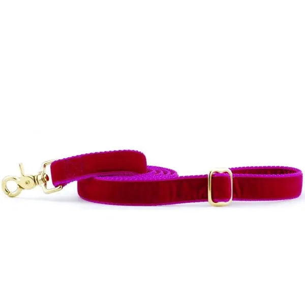 Raspberry Velvet Dog Leash 2 Hounds Design