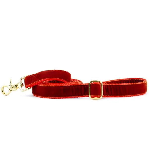 Rust Velvet Dog Leash (1″ Only) 2 Hounds Design