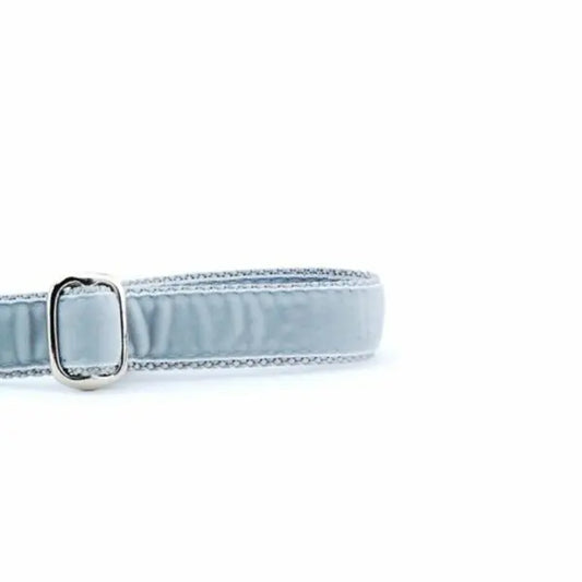Silver Velvet Dog Leash 2 Hounds Design