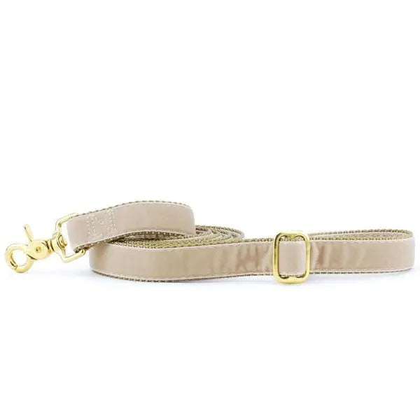 Tan Velvet Dog Leash 2 Hounds Design