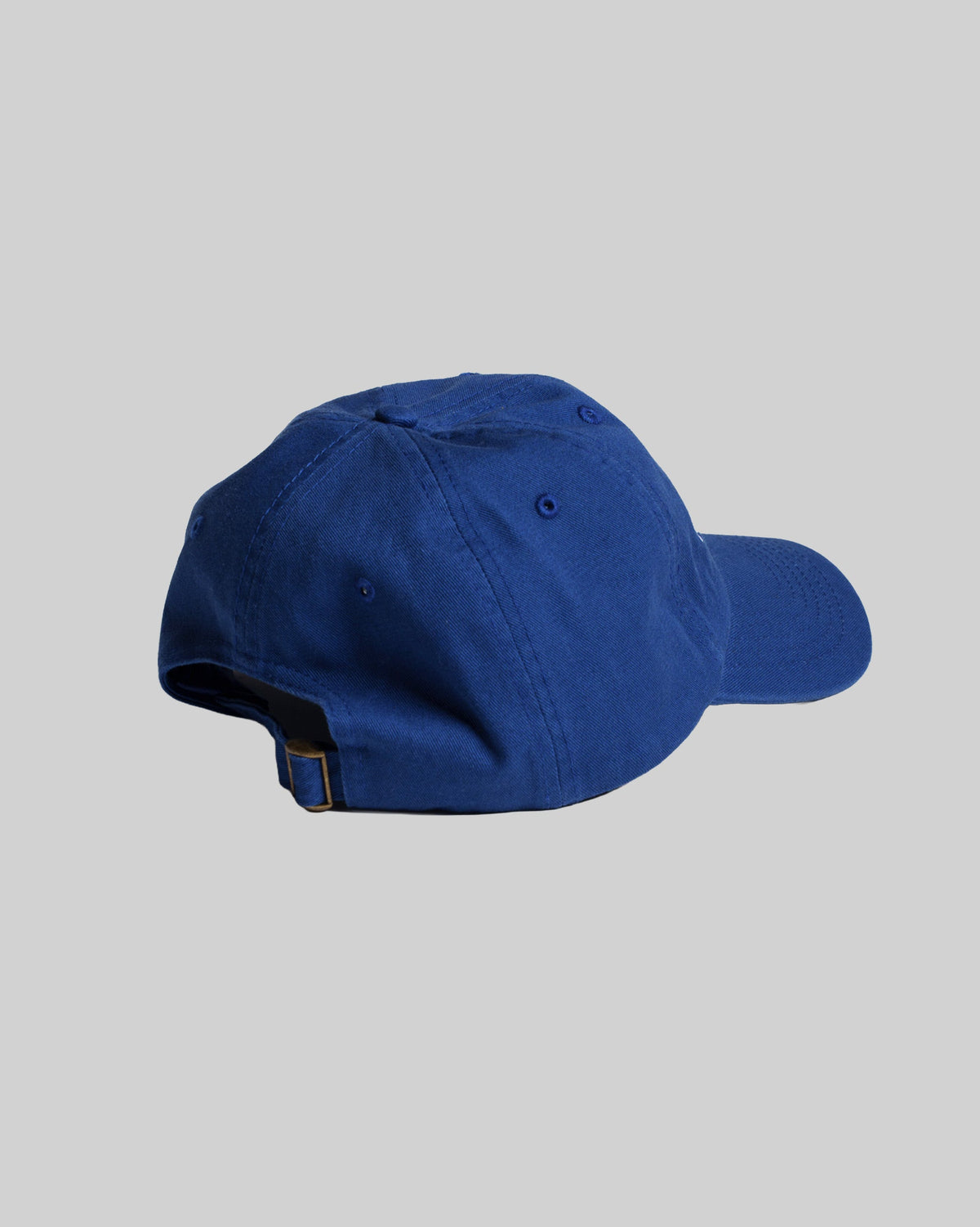 Ice Water - Dad Hat