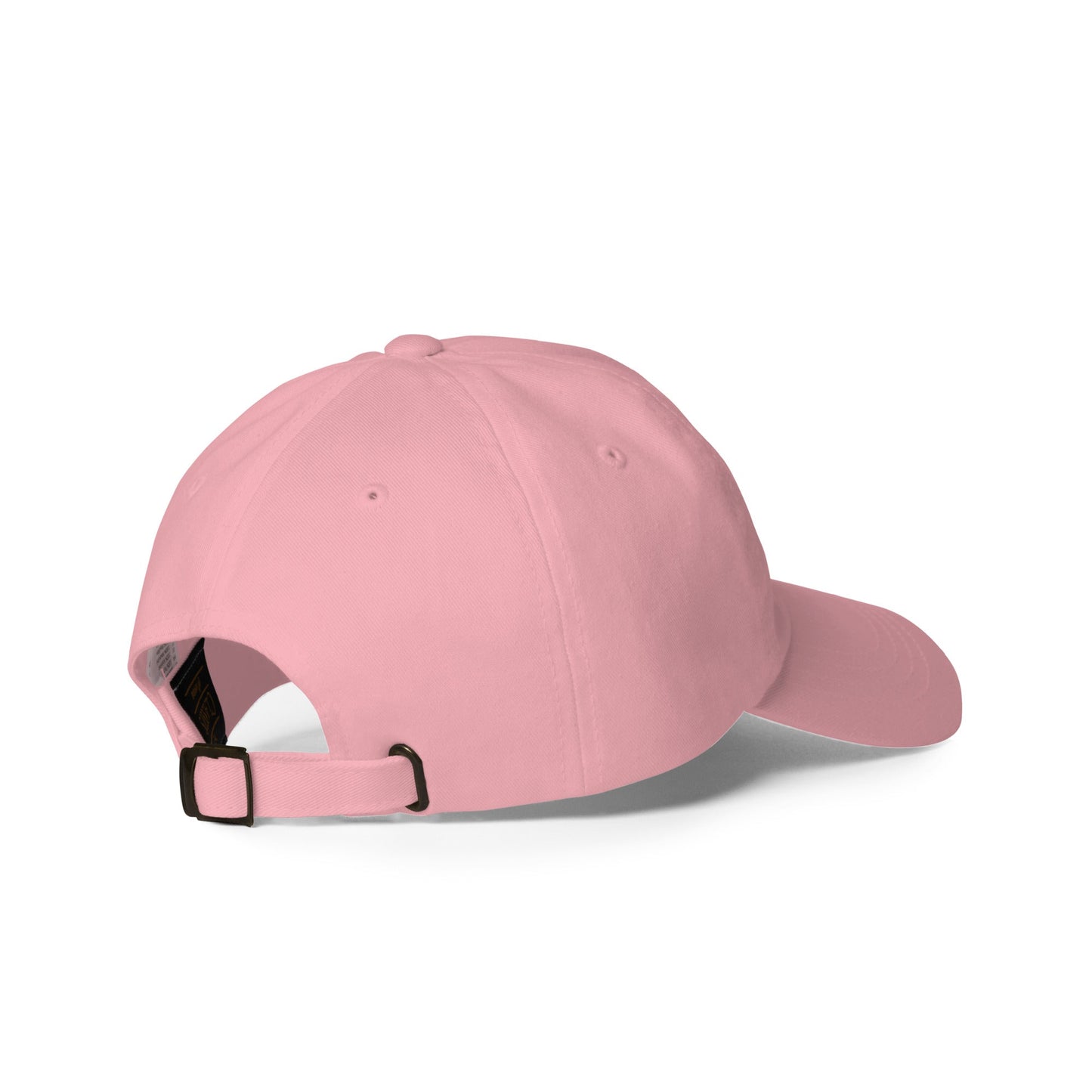 Embrace Equity Dad Hat