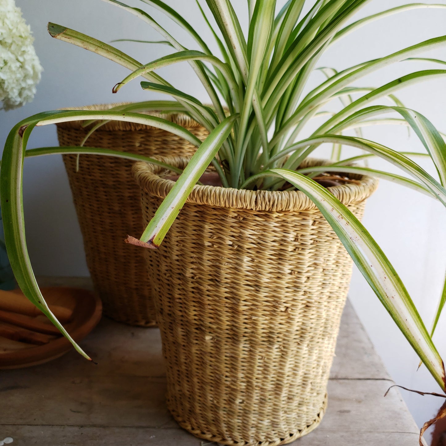 3 Nesting Canisters