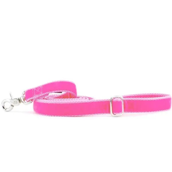Shocking Pink Velvet Dog Leash 2 Hounds Design