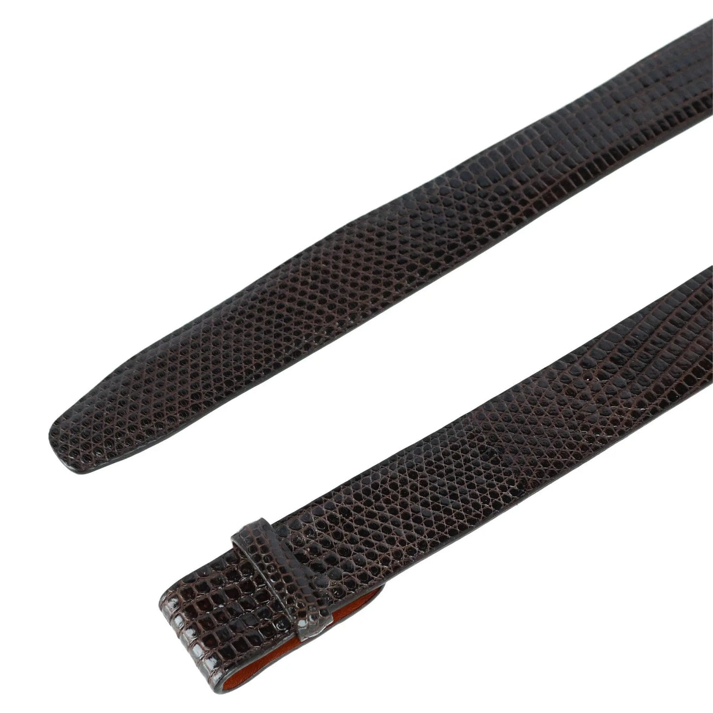 Genuine Lizard 30mm Compression Belt Strap Trafalgar Store