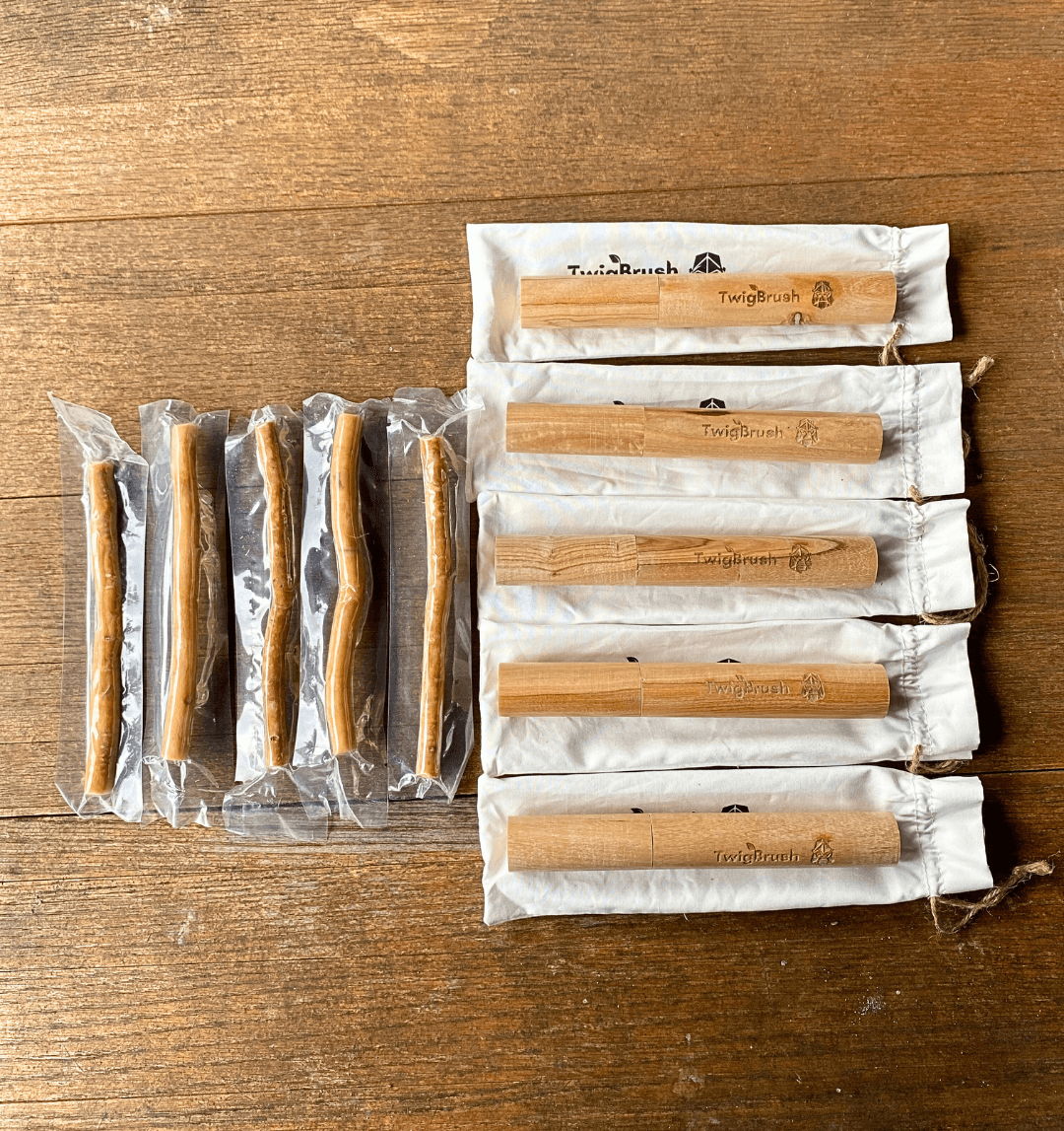5pcs TwigBrush With Holder and Pouch