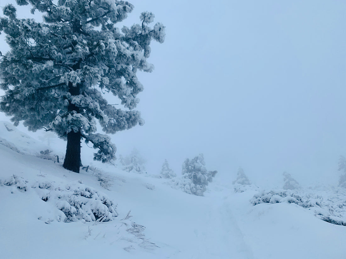 How to Dress in Really, Super Cold Weather!