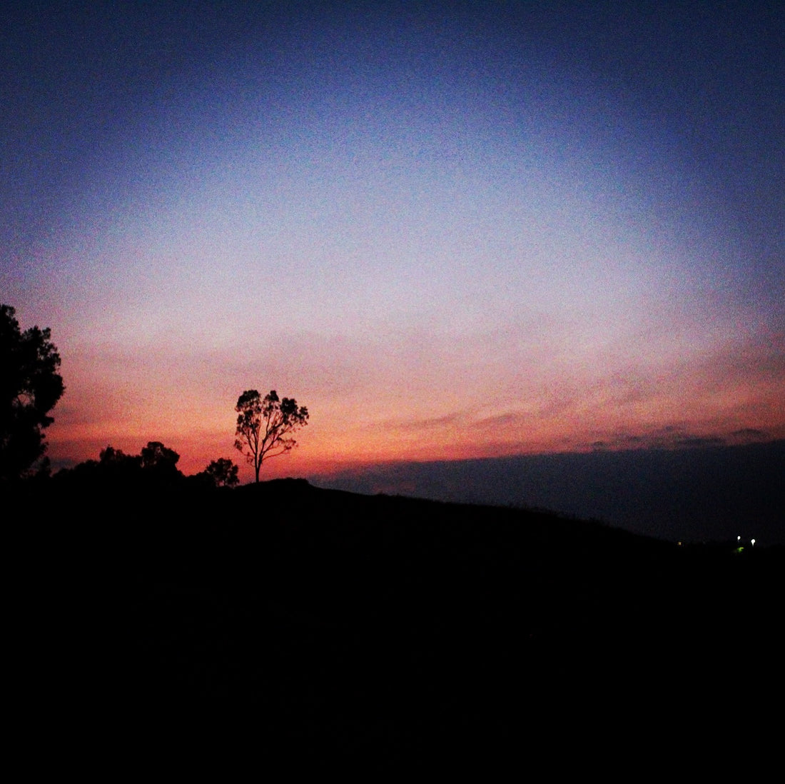 Dusk