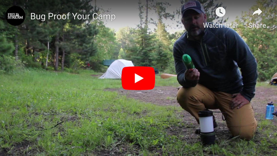 How to Keep Mosquitos and Bugs Away