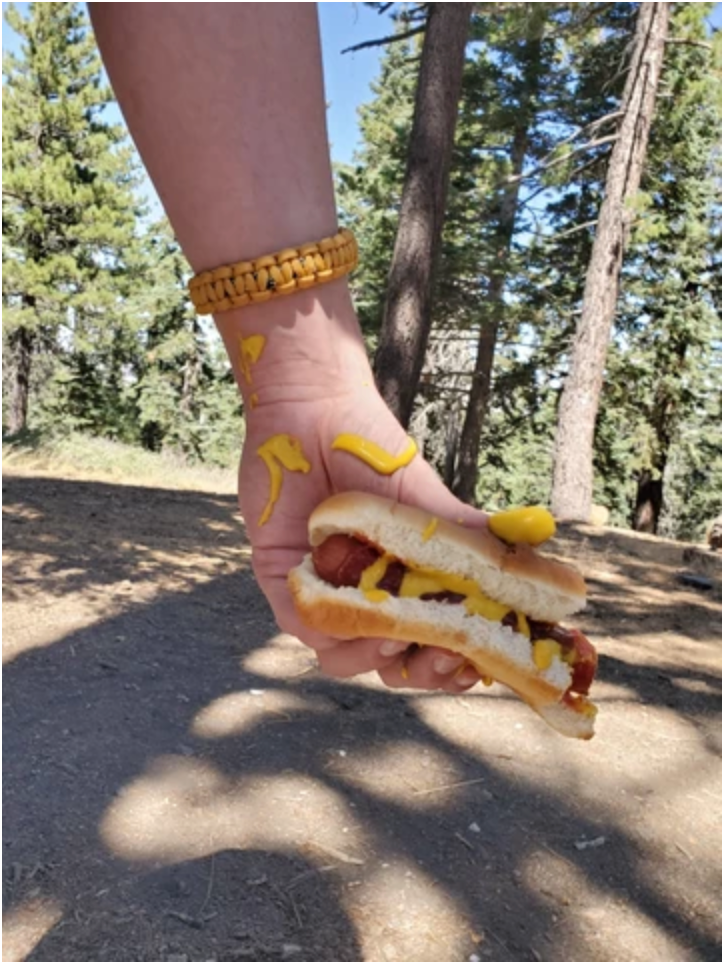 Hot Dog Camping Mess
