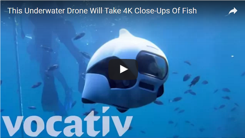 Underwater Drone