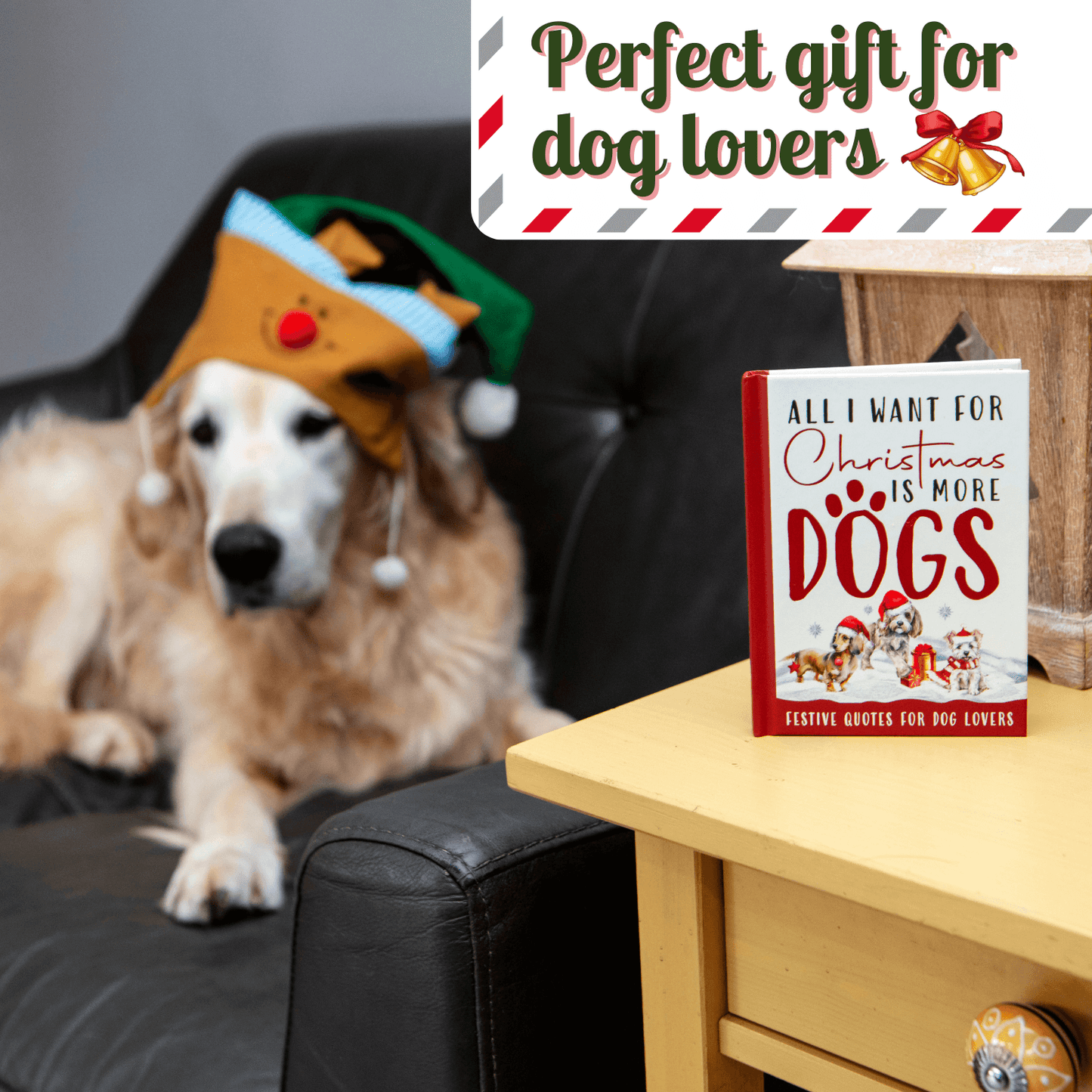 All I Want For Christmas Is More Dogs Gift Books - Dog Gifts