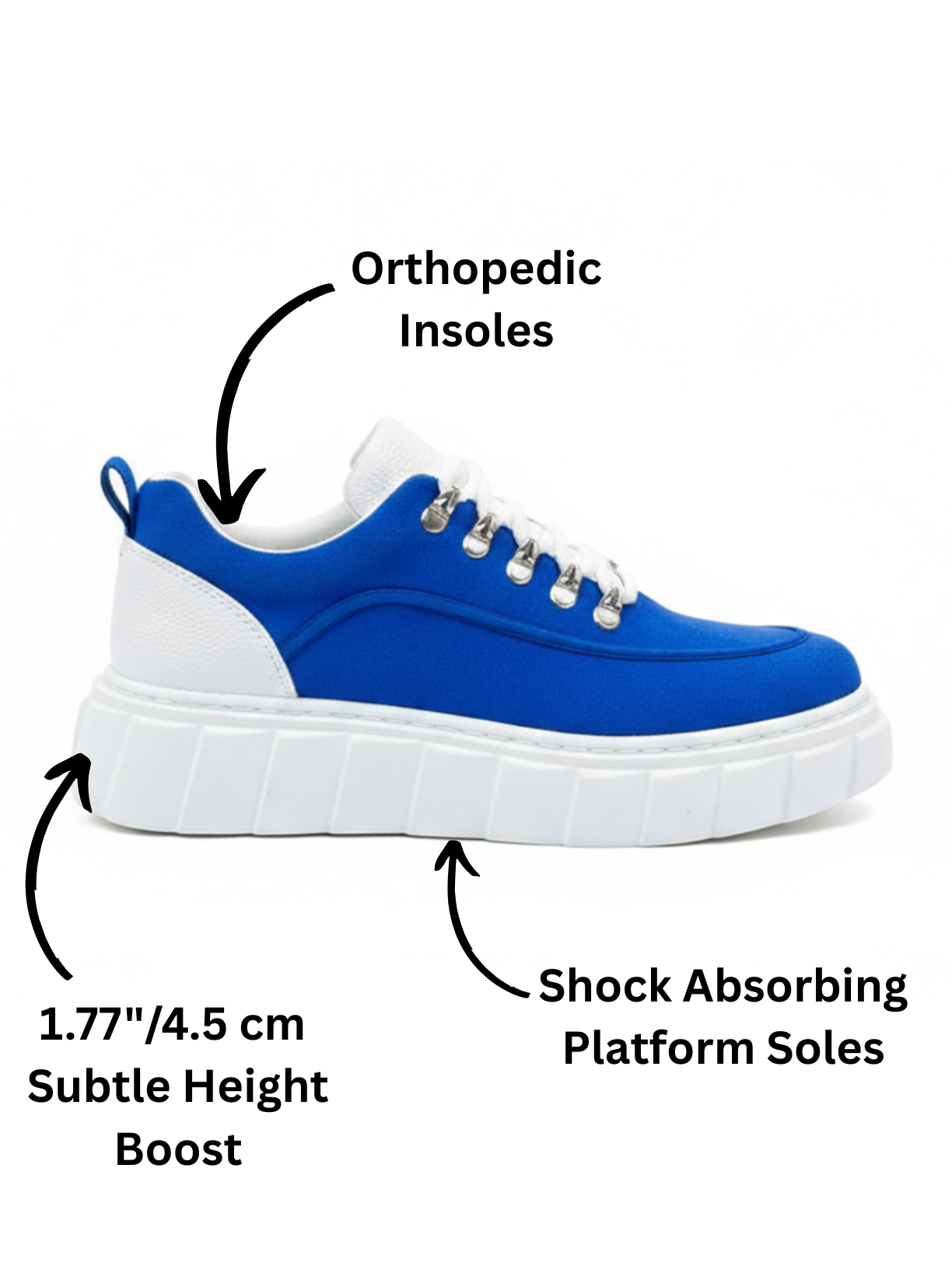 Men's Vega Cobalt