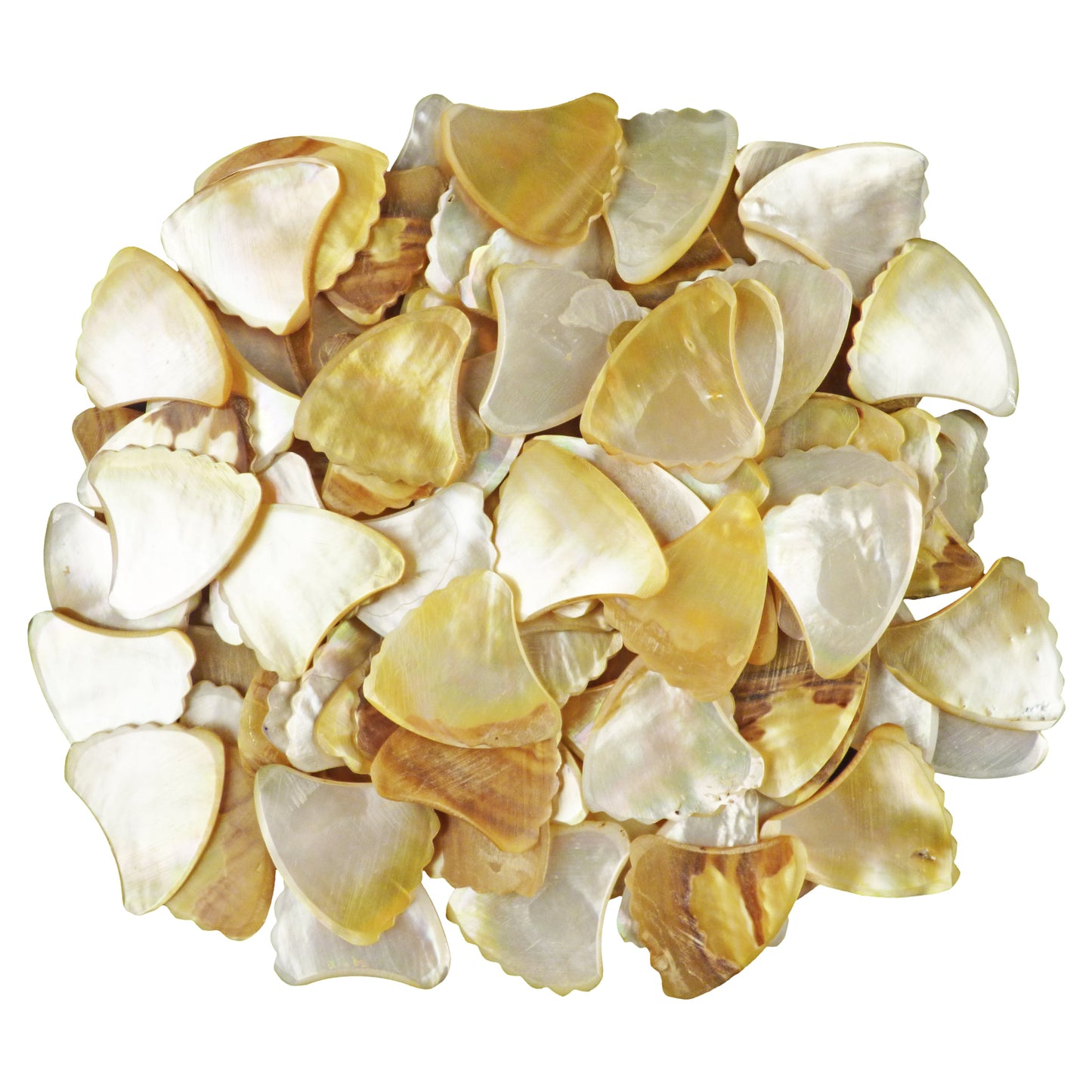 Gold Abalone Shell Guitar Or Bass Pick - 2.0 mm - 390 Wedge Shark Fin Shape - Handmade Specialty Exotic Luxury Plectrum
