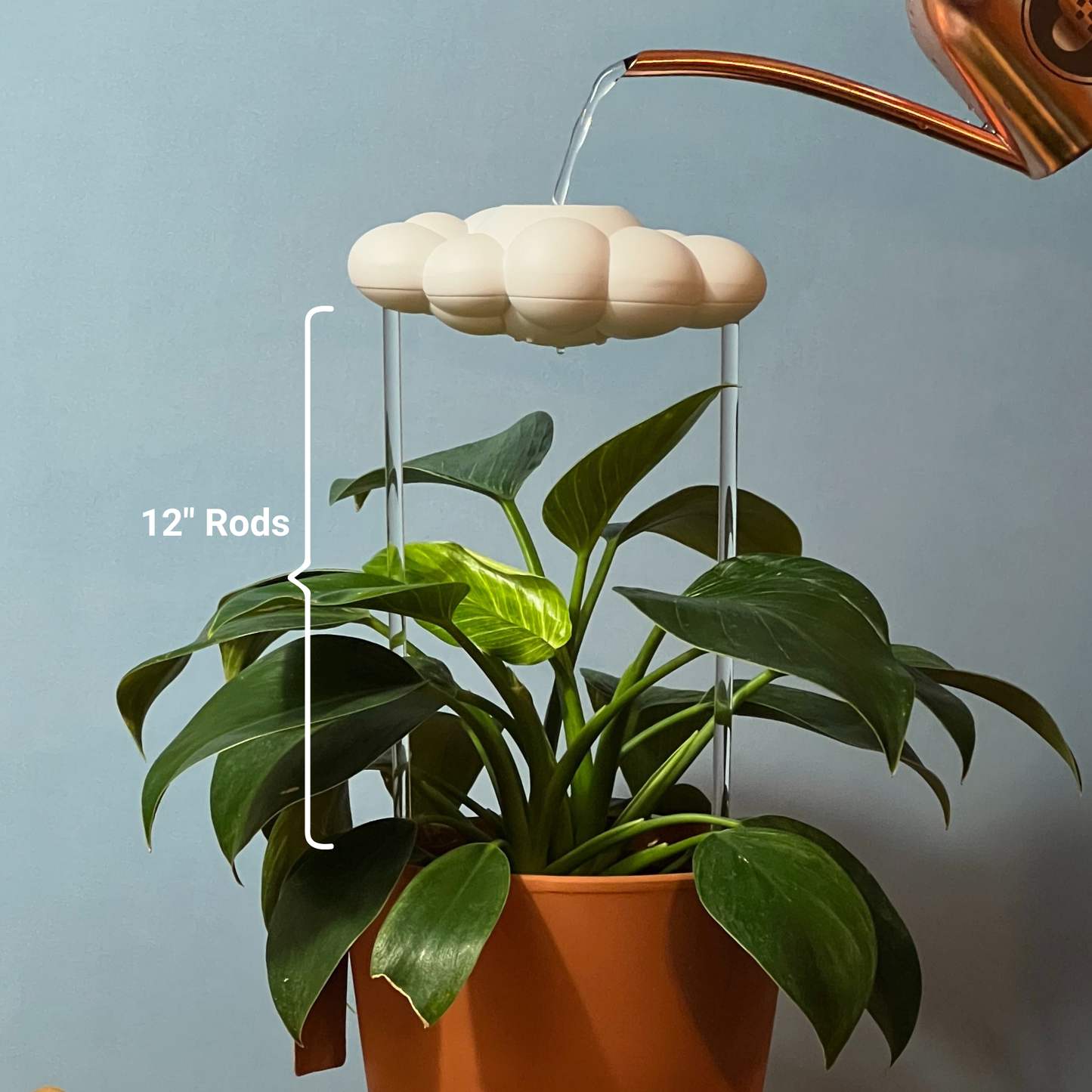 Original Dripping Rain Cloud with Bow Charm