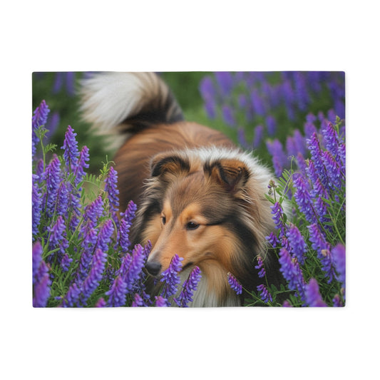 Sweatshirt Blanket – Plush Fleece Throw, 2 Size Options