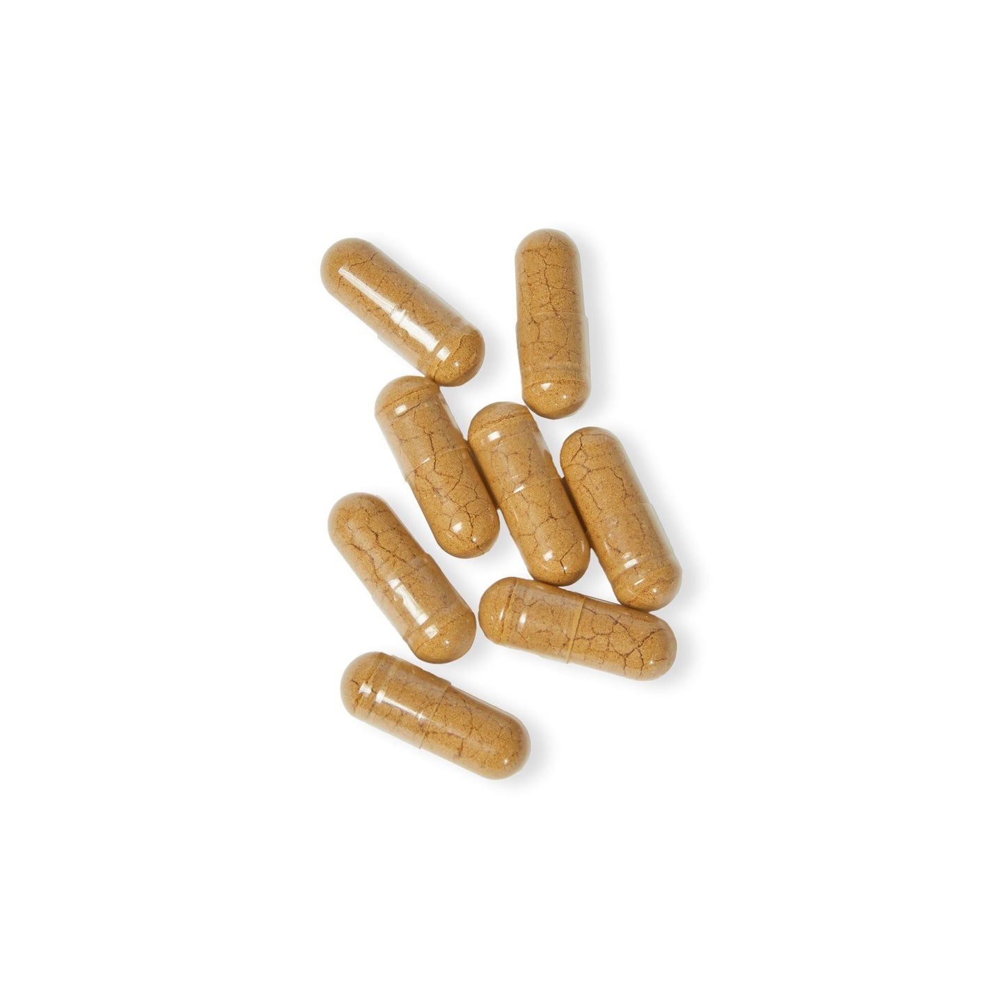 Mushroom Blend Supplement (60 Capsules) - "Memento Mori"