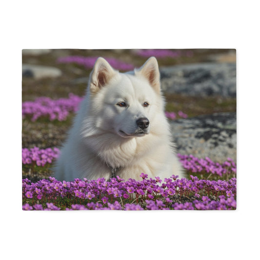 Sweatshirt Blanket – Plush Fleece Throw, 2 Size Options