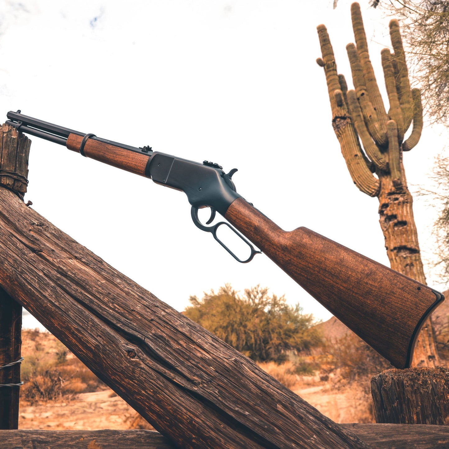 1866 CO2 .177 - Black