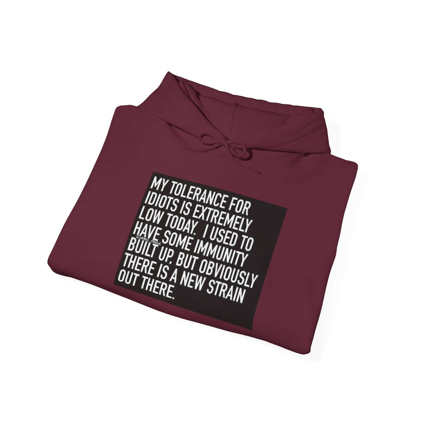 My Tolerance for Idiots Hoodie - Funny Sweatshirt, Unisex Gift, Humor Clothing, Casual Pullover, Cozy Hoodie for Everyday Wear
