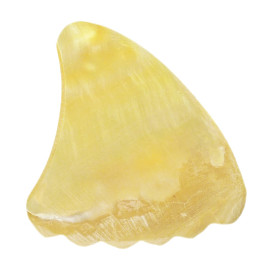 Gold Abalone Shell Guitar Or Bass Pick - 2.0 mm - 390 Wedge Shark Fin Shape - Handmade Specialty Exotic Luxury Plectrum