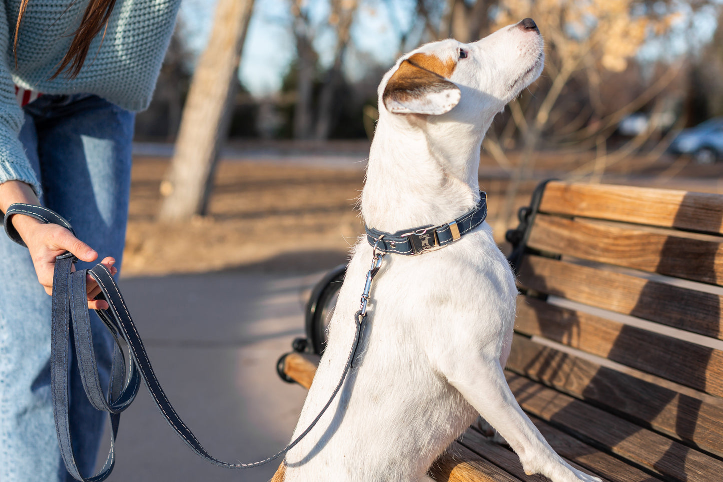 Pro Line Hunting Blue Jeans Leather Leash