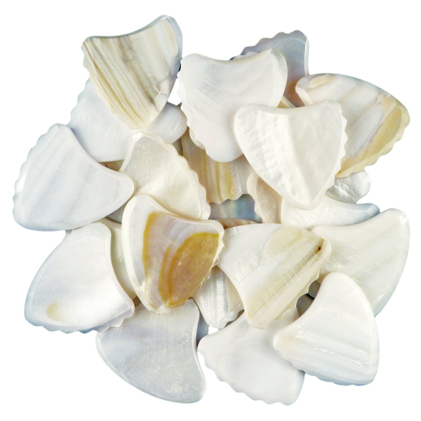White Abalone Shell Guitar Or Bass Pick - 2.0 mm - 390 Wedge Shark Fin Shape - Handmade Specialty Exotic Luxury Plectrum