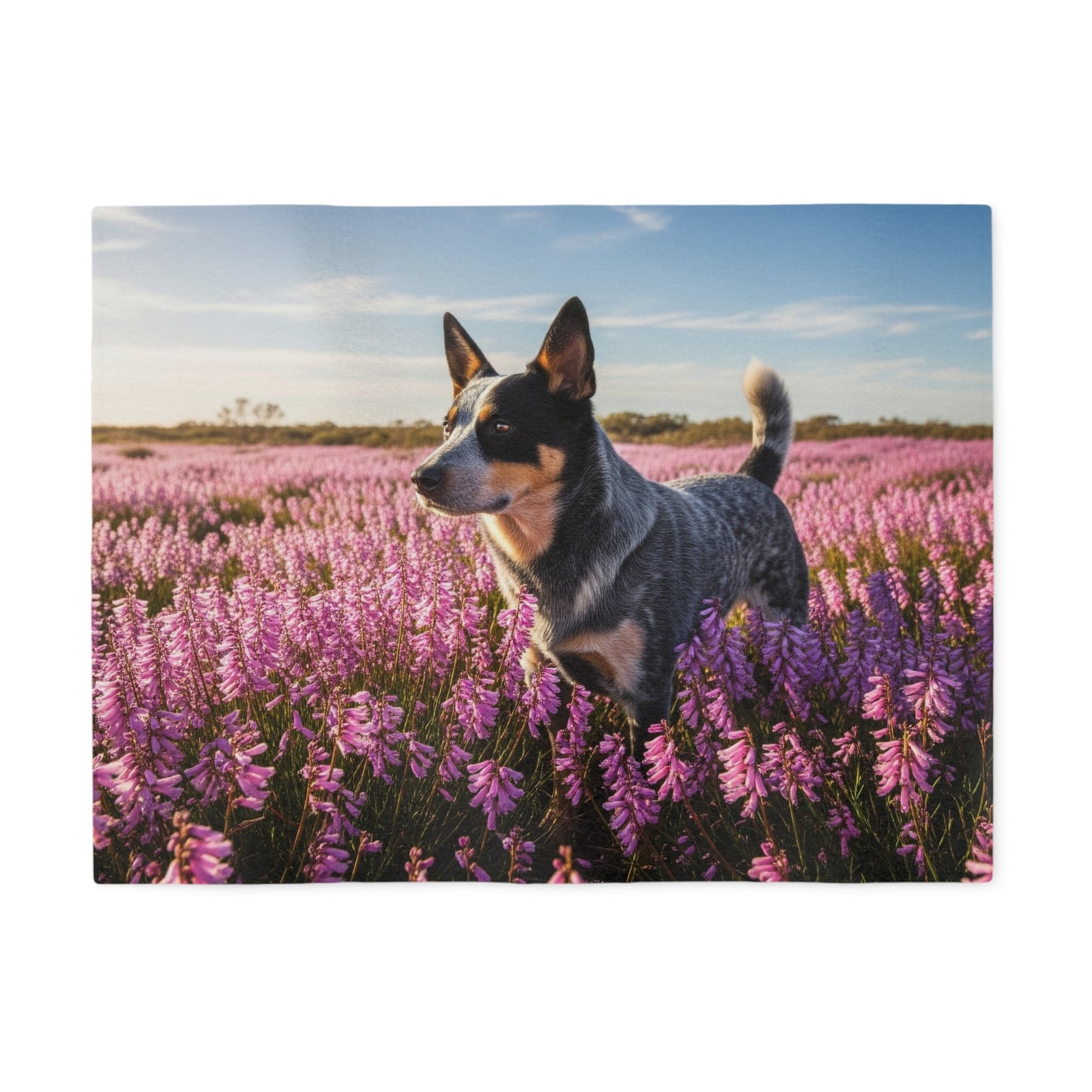 Sweatshirt Blanket – Plush Fleece Throw, 2 Size Options