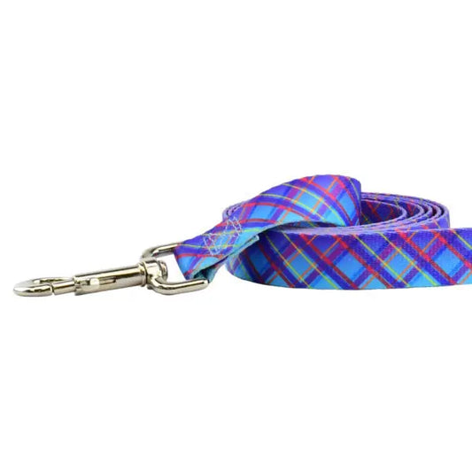 Twilight Glow Blue Plaid Dog Leash – EarthStyle 2 Hounds Design