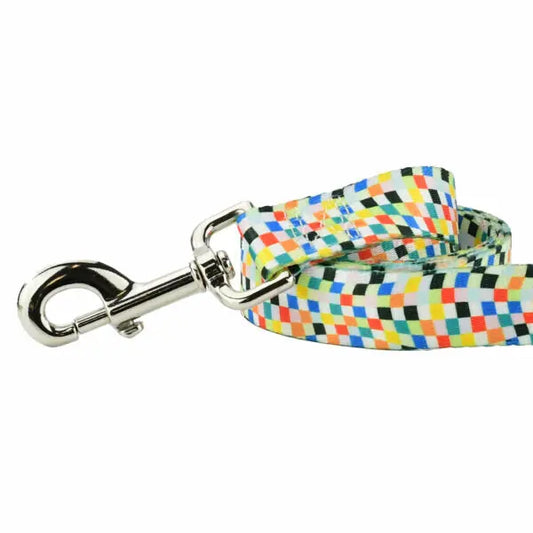 Indy Flag Dog Leash – EarthStyle 2 Hounds Design