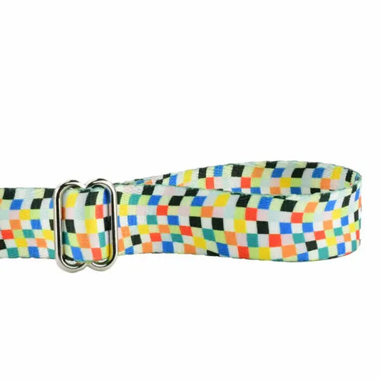 Indy Flag Dog Leash – EarthStyle 2 Hounds Design