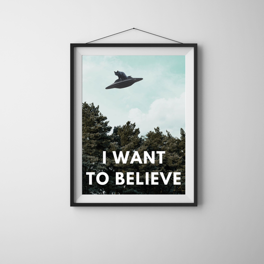 I Want To Believe (Cats are Aliens) UFO Wall Art Poster