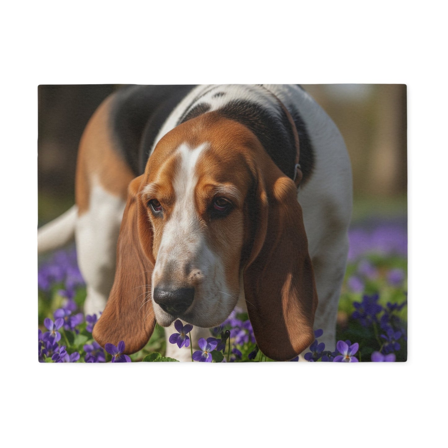 Sweatshirt Blanket – Plush Fleece Throw, 2 Size Options