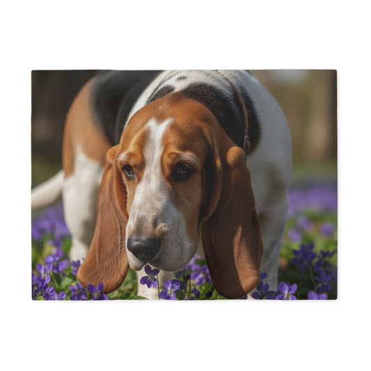 Sweatshirt Blanket – Plush Fleece Throw, 2 Size Options