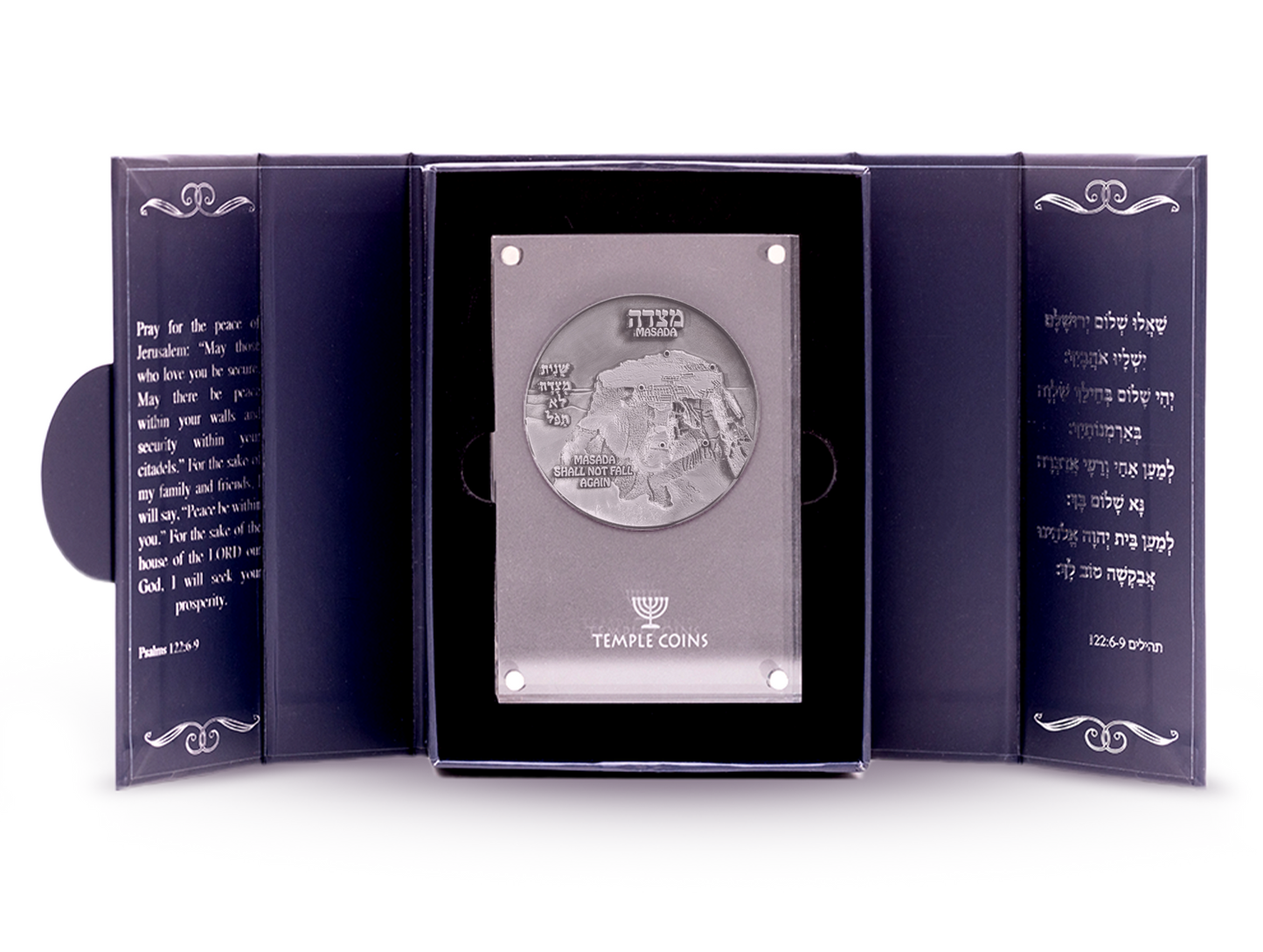 Masada Vow Coin