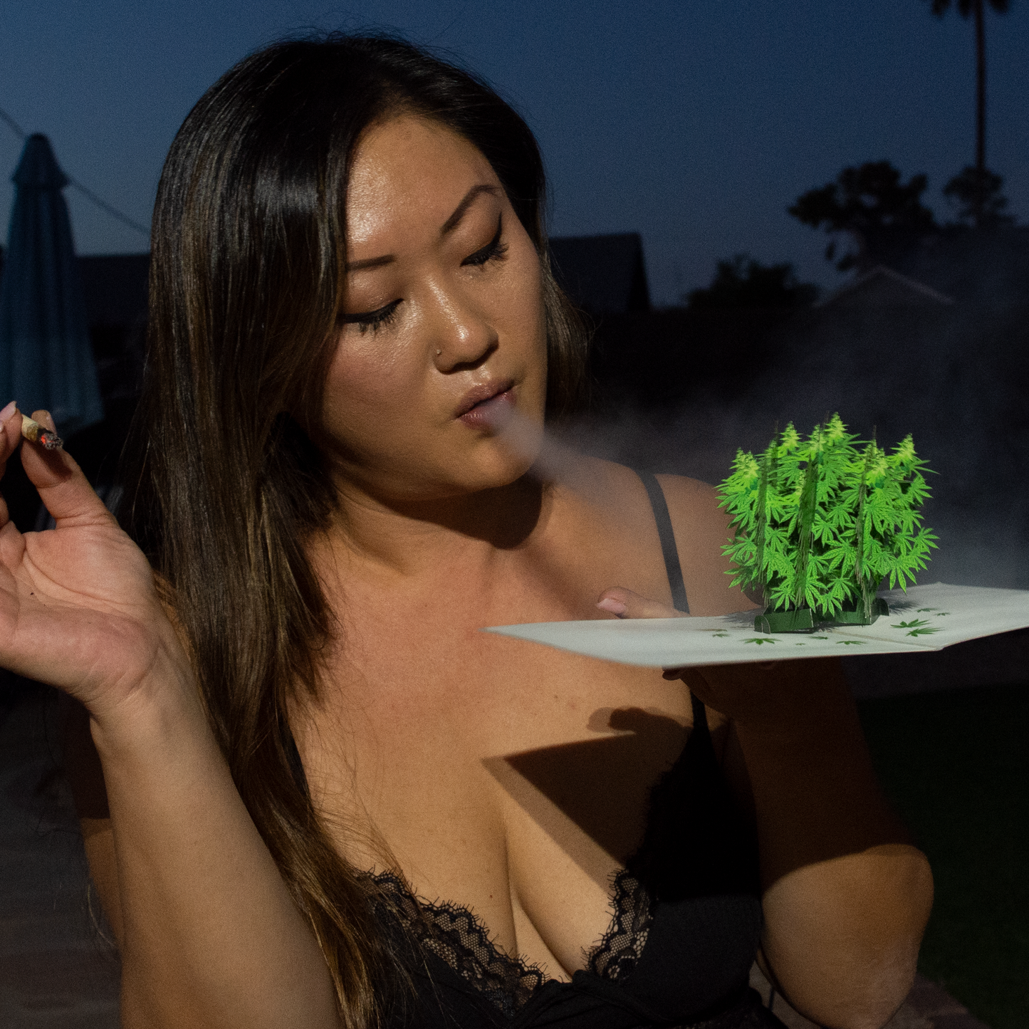 Pot Plant Funny 3D Pop-Up Marijuana Stoner Greeting Card