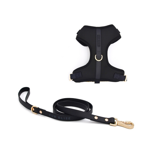 Elise Harness & Leash Set - Noir