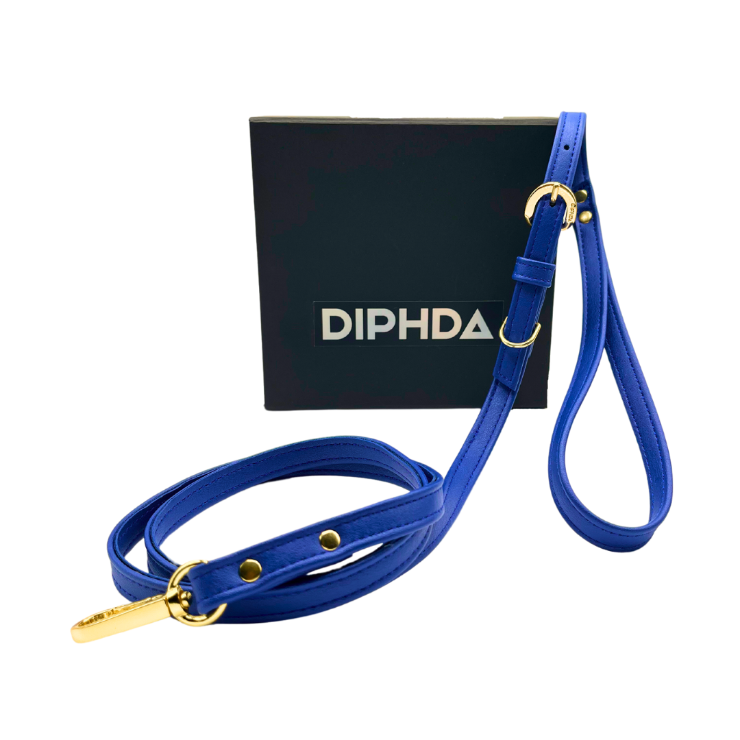 Galactic Blue Cactus Leash