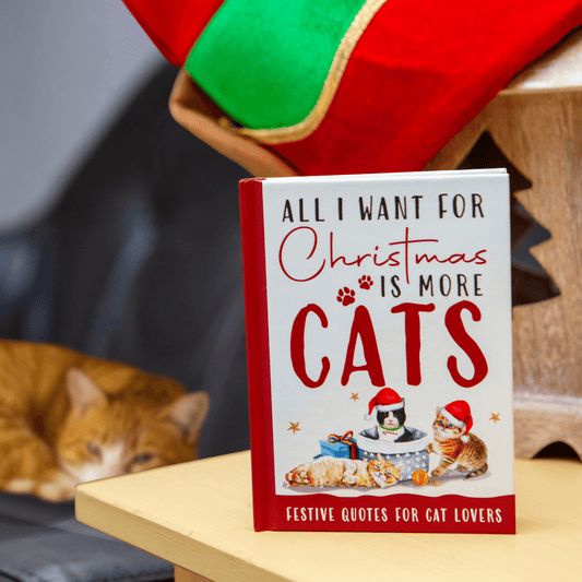 All I Want For Christmas Is More Cats Gift Books - Cat Gifts