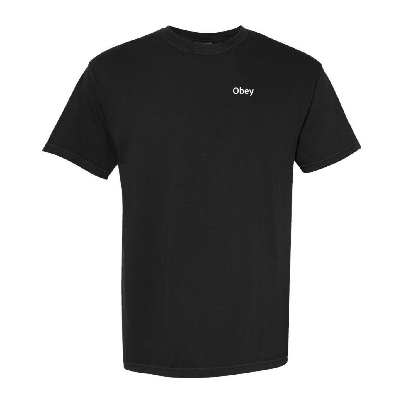 Garment-Dyed Heavyweight T-Shirt - "Obey"
