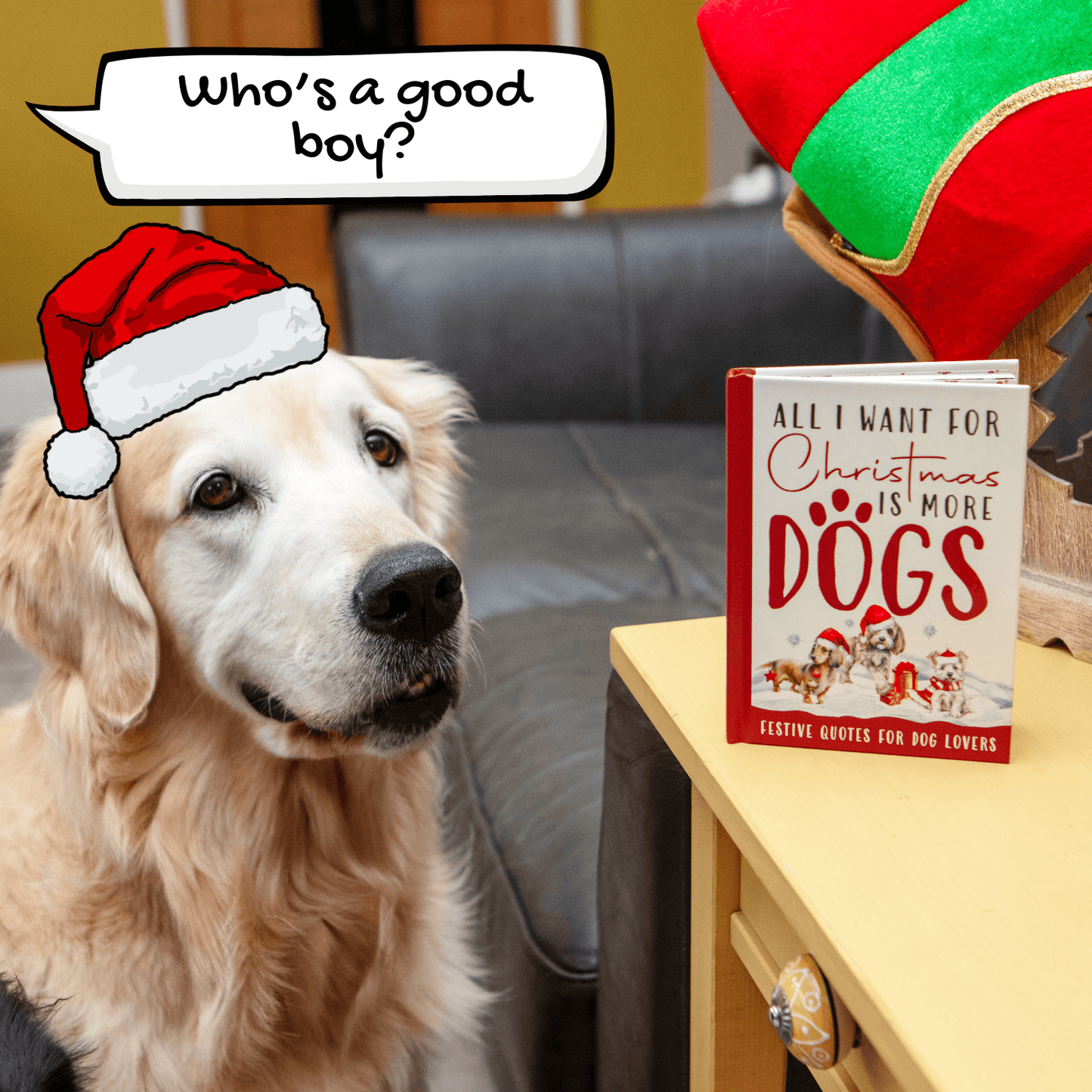 All I Want For Christmas Is More Dogs Gift Books - Dog Gifts