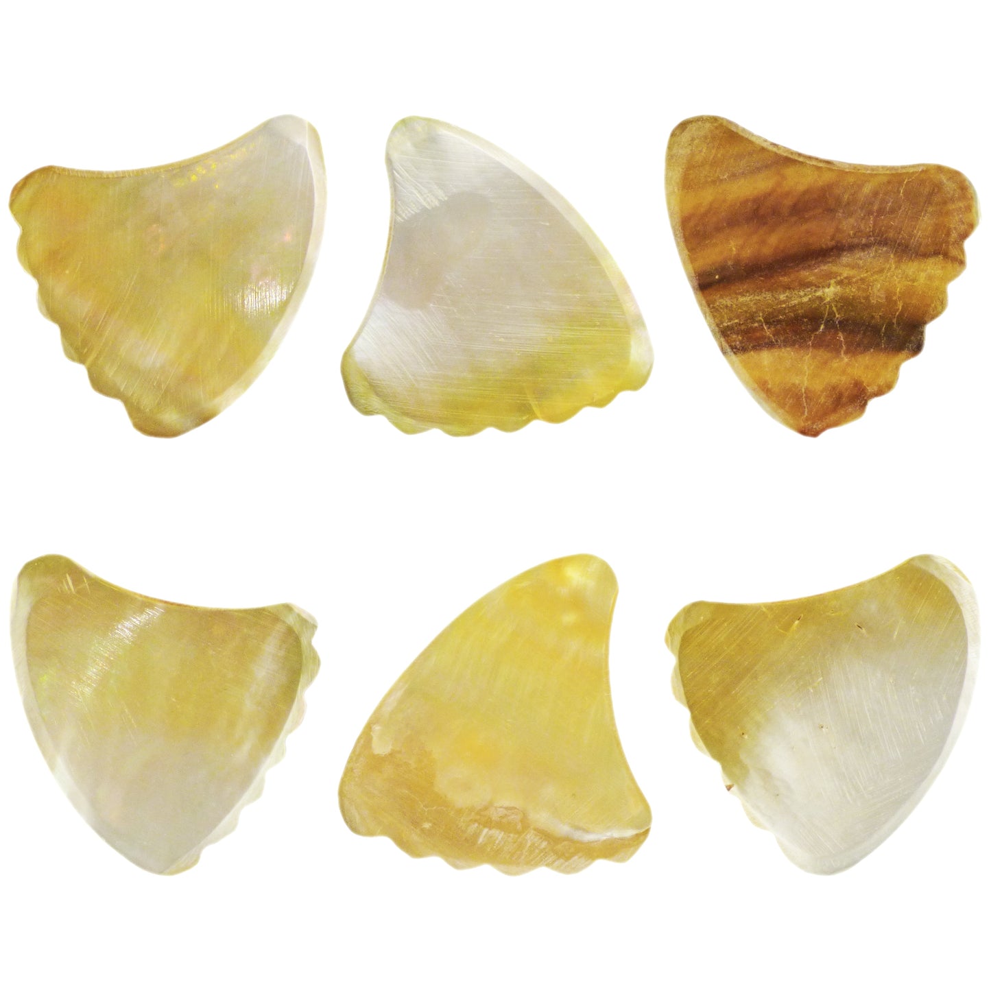 Gold Abalone Shell Guitar Or Bass Pick - 2.0 mm - 390 Wedge Shark Fin Shape - Handmade Specialty Exotic Luxury Plectrum