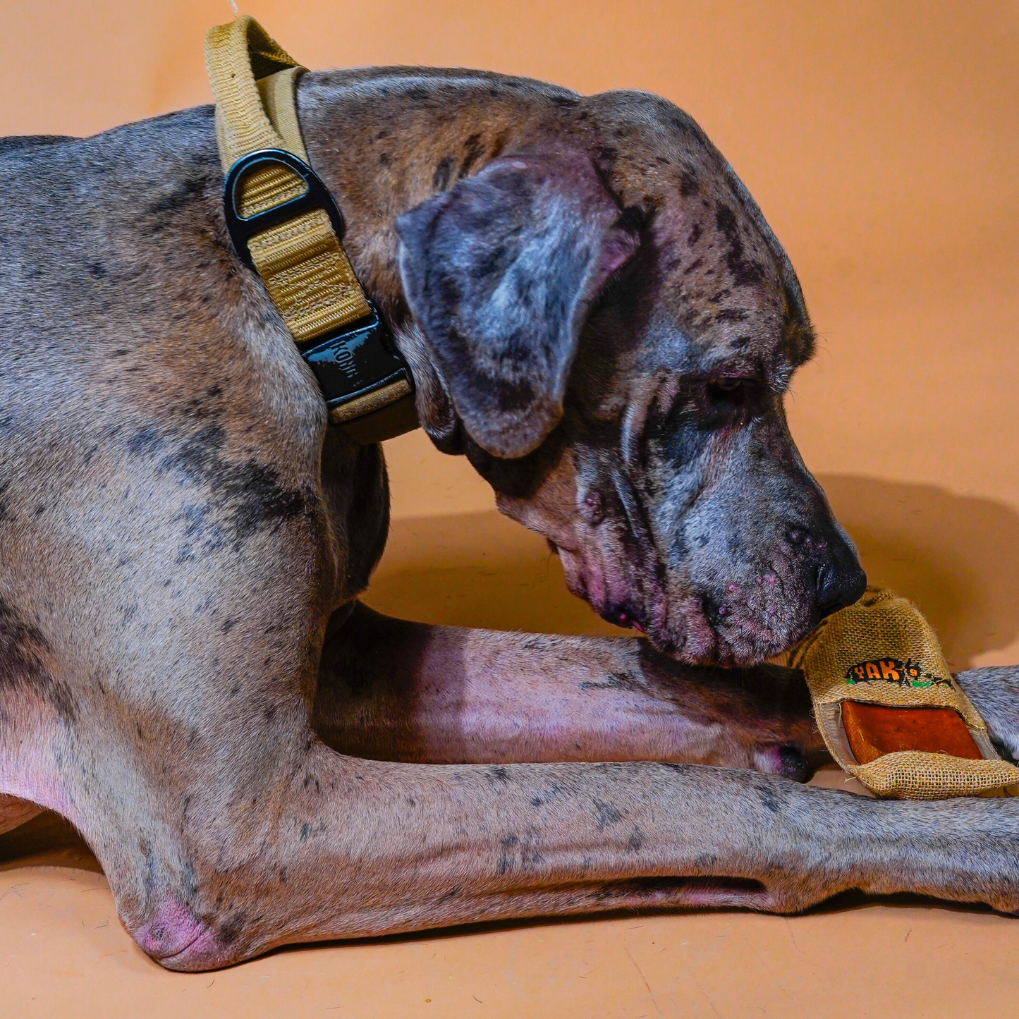 100% Yak Milk Chews for Dogs