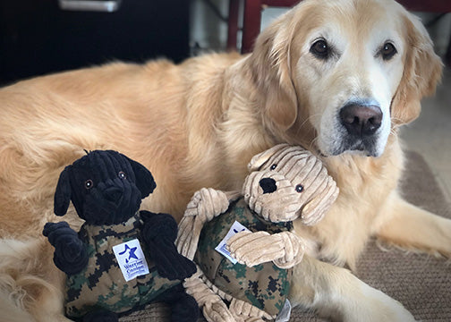 HuggleCause™, Warrior Canine Connection, Black Lab Luke Knottie® Plush Dog Toy, Large