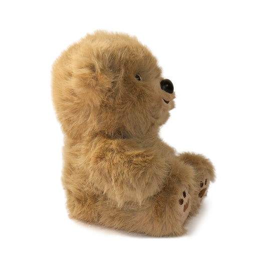 Honeywood Bear: A Plush Toy for Caregivers, Nurturers, and Comfort Givers