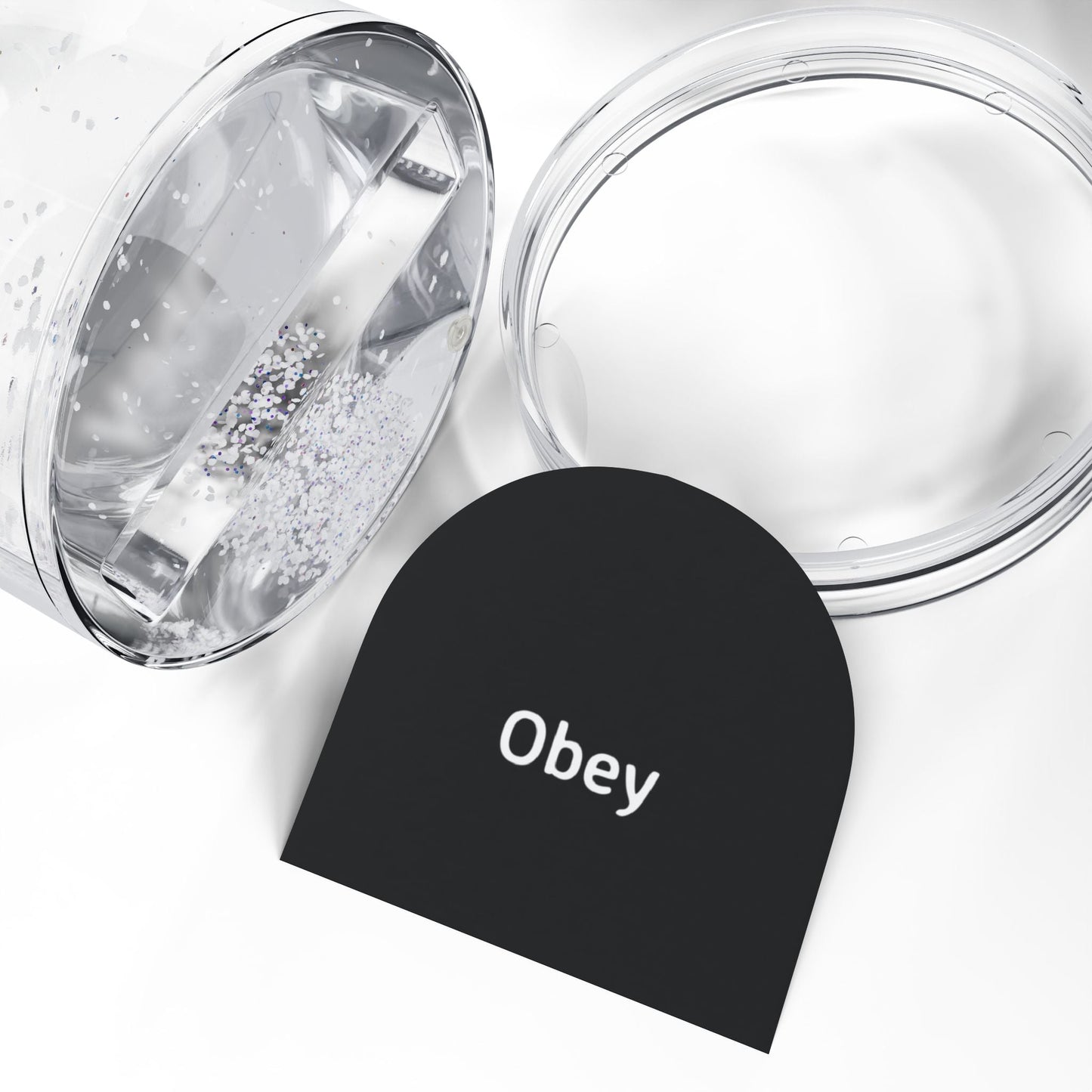 Snow Globe - "Obey"